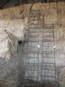 13ft heavy metal wall fixed grain ladder