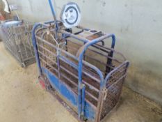 GHL pig/sheep weigh crate