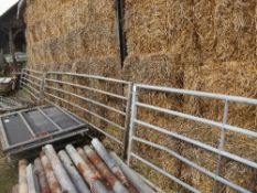 3 galvanised gates 2 x 15ft, 1 x 10ft