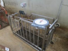 Ritchie pig/sheep weigh crate