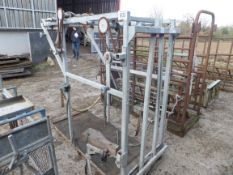 Wopa cattle galvanised foot trimming crush