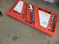 16pc spanner set