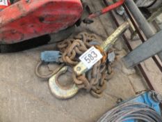 Lifting chain