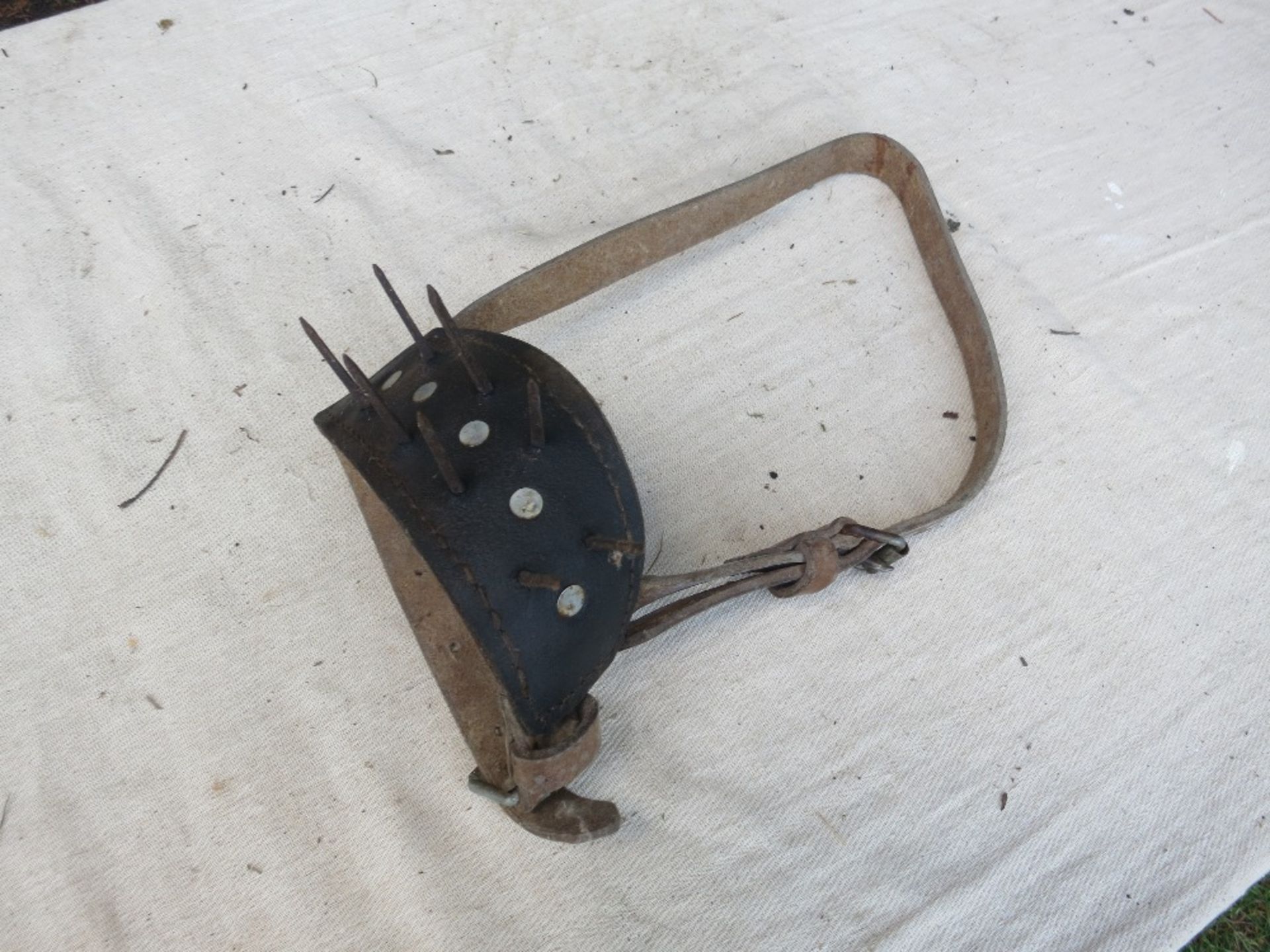 Anti-suckling calf headcollar