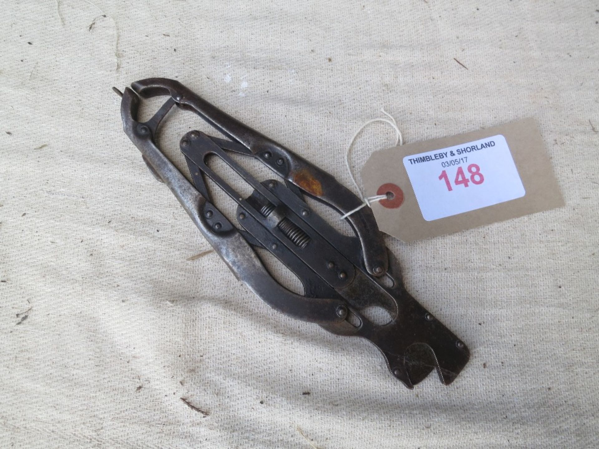 Pair of secateurs Brevete RGM