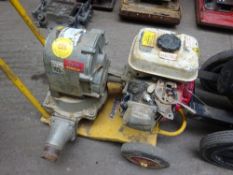 Dasin Honda pump