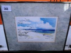 2 framed & glazed watercolours 'Grosle Tete' Bird Island' 'Hirandelle' Bird Island, signed &