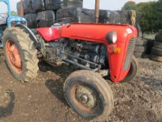 MF 35 tractor - no roll bar