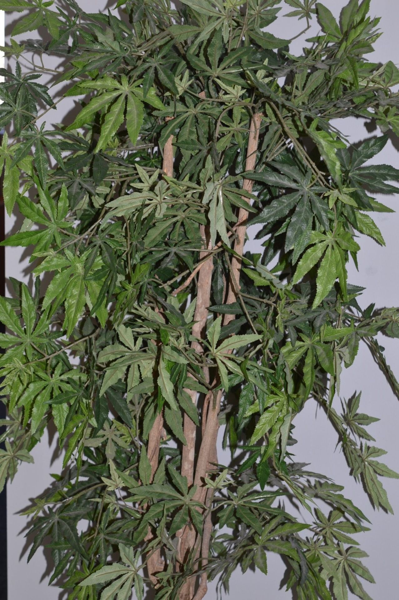 1 x Artificial Potted Office Plant - Approx 160cm Tall - CL400 - Ref 068 - Location: Manchester - Image 3 of 4