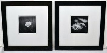 2 x Photographic Framed Art Prints Featuring Flowers In Black & White - Dimensions: 58.5x58.5cm -
