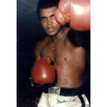 ALI MUHAMMAD: (1942-2016) American Boxer, World Heavyweight Champion.