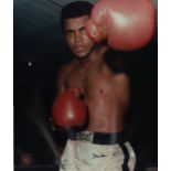 ALI MUHAMMAD: (1942-2016) American Boxer, World Heavyweight Champion.