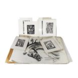 Cartella contenente 17 litografie e un album con 2 disegni e 9 disegni con tecniche miste, Di Lucia