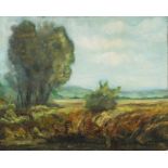 Angolo vicinanze lago 5 pini, Stefano Giannantonio 1996, olio, 38 x 48 cm