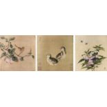 Ornithologie - - Selected Bird and Flower Paintings from the Palace Museum. 100 (meist) farbige