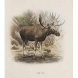 Zoologie - - Lydekker, Richard. The Deer of all lands. A history of the family Cervidae, living