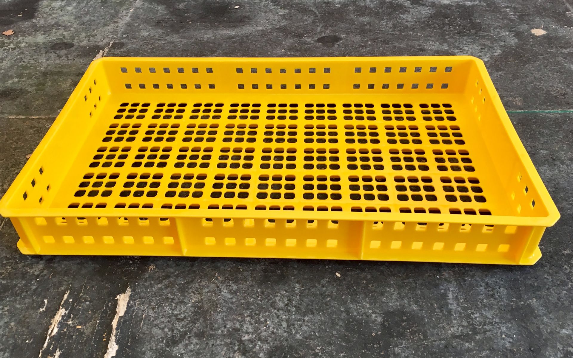 150 x Yellow 20L Perforated Confectionery Trays