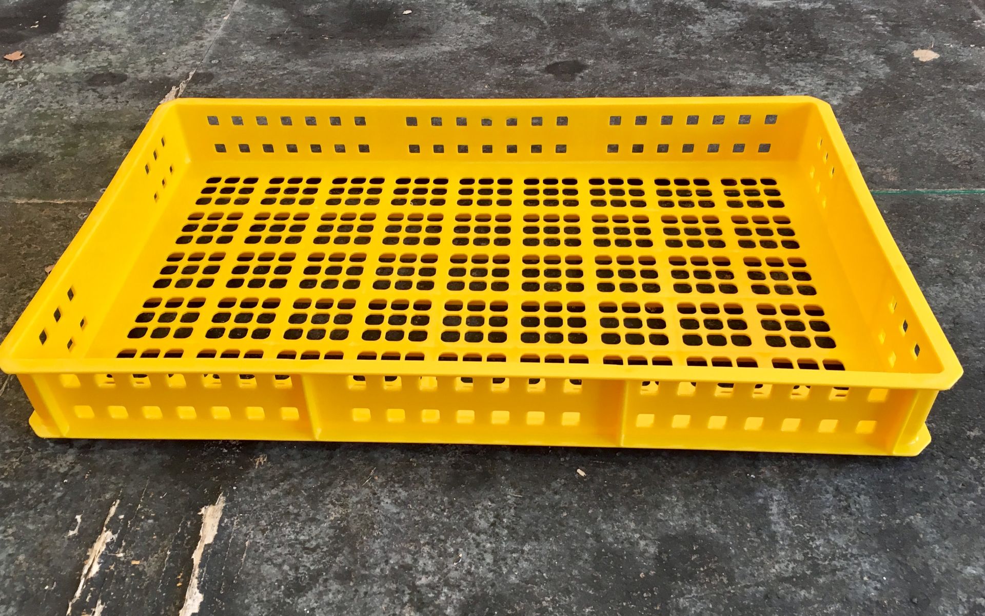 100 x Yellow 20L Perforated Confectionery Trays