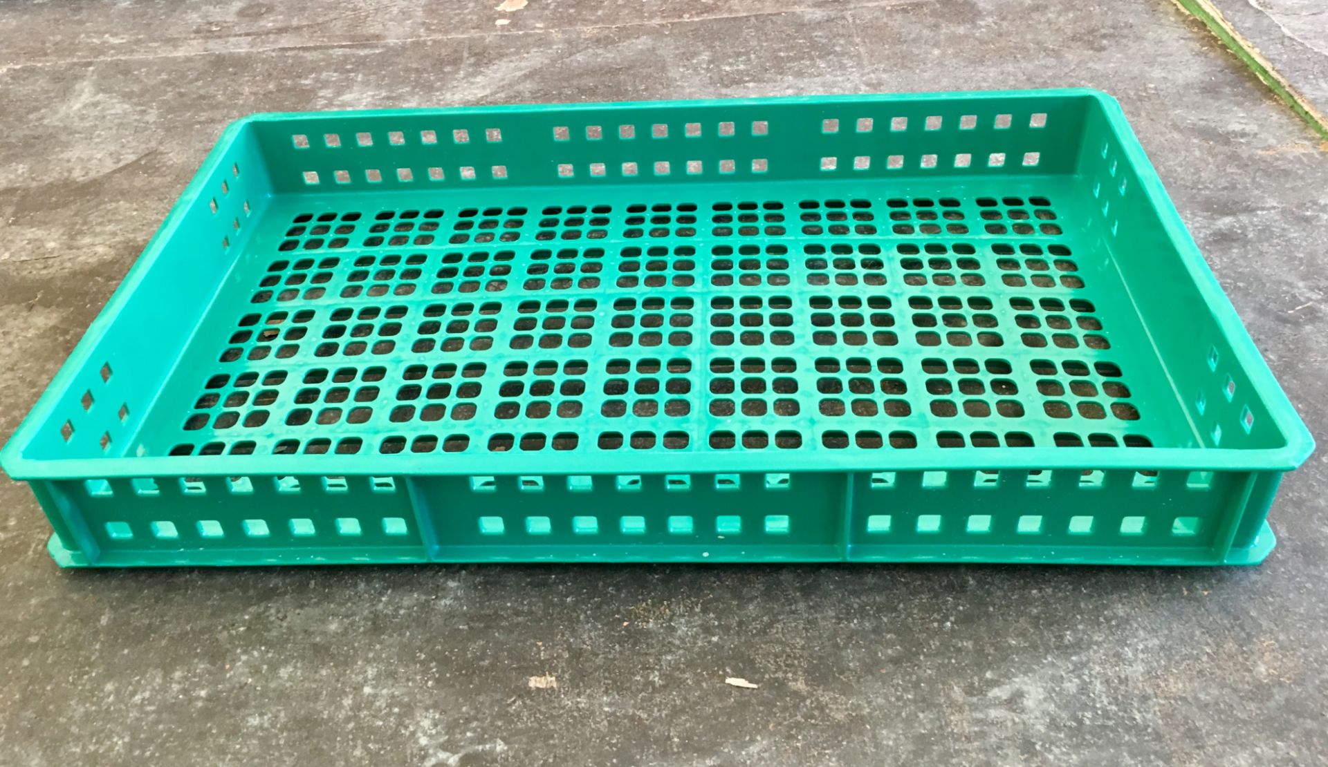 169 x Green 20L Perforated Confectionery Trays