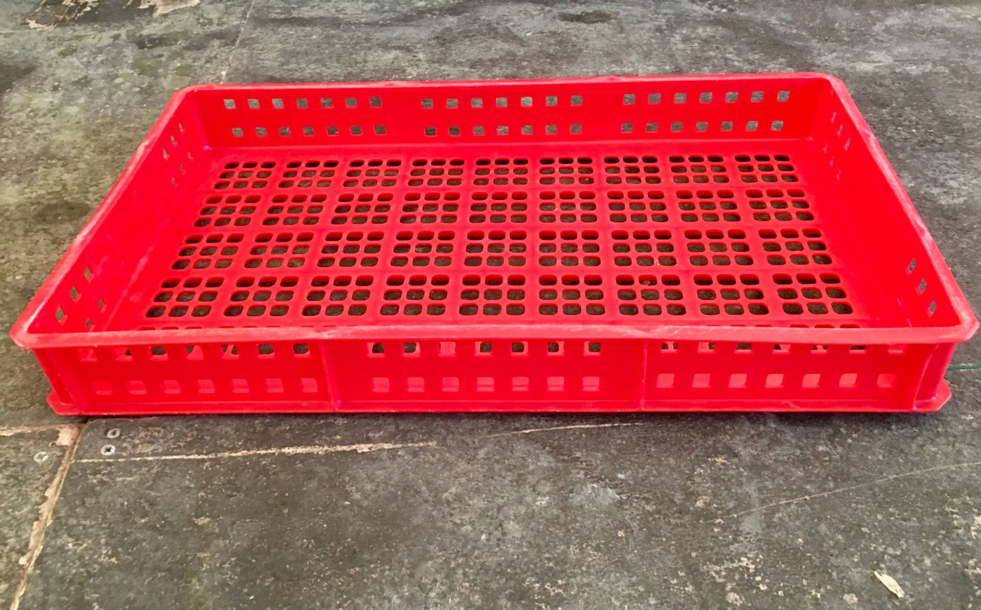 172 x Red 20L Perforated Confectionery Trays