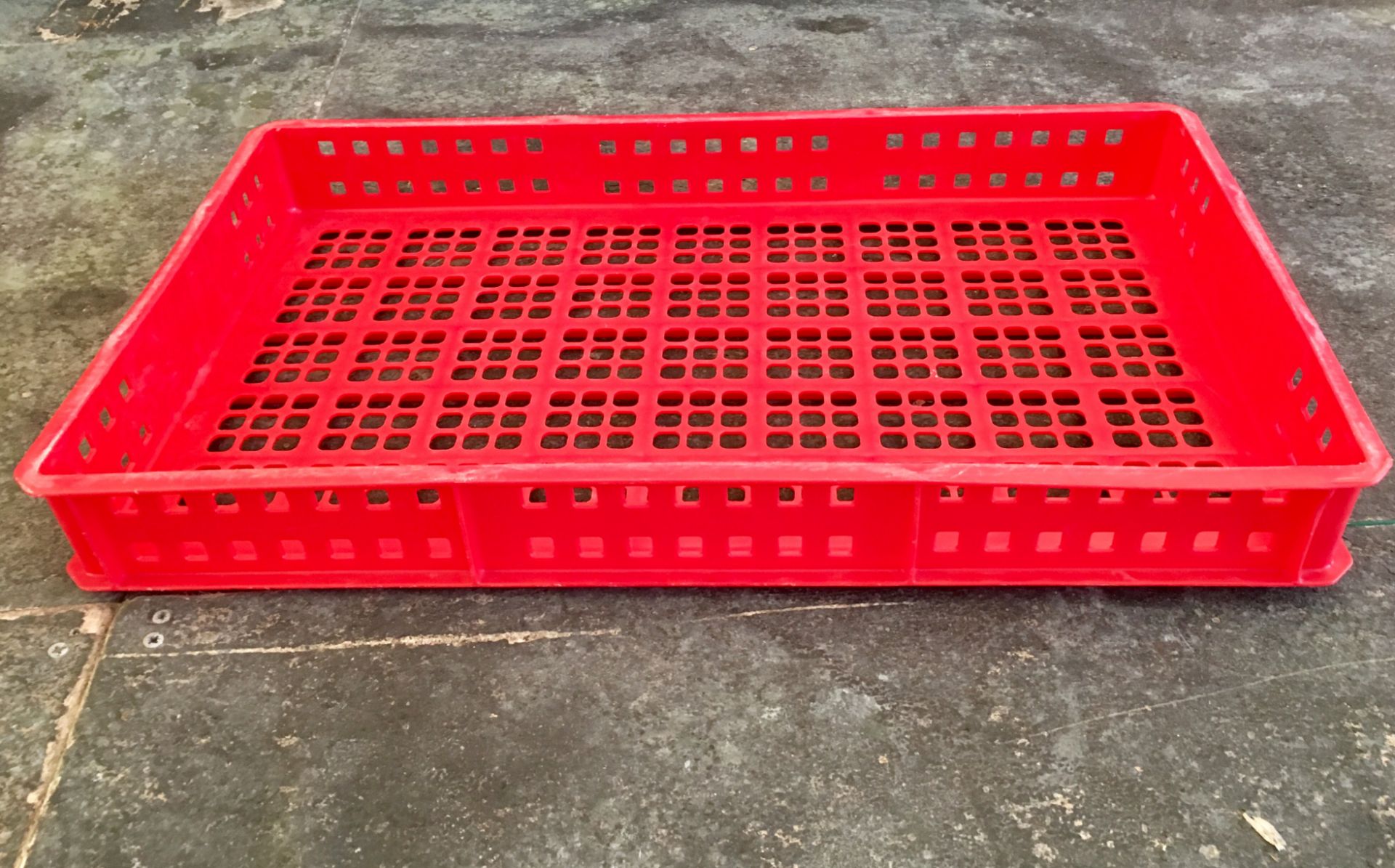 100 x Red 20L Perforated Confectionery Trays