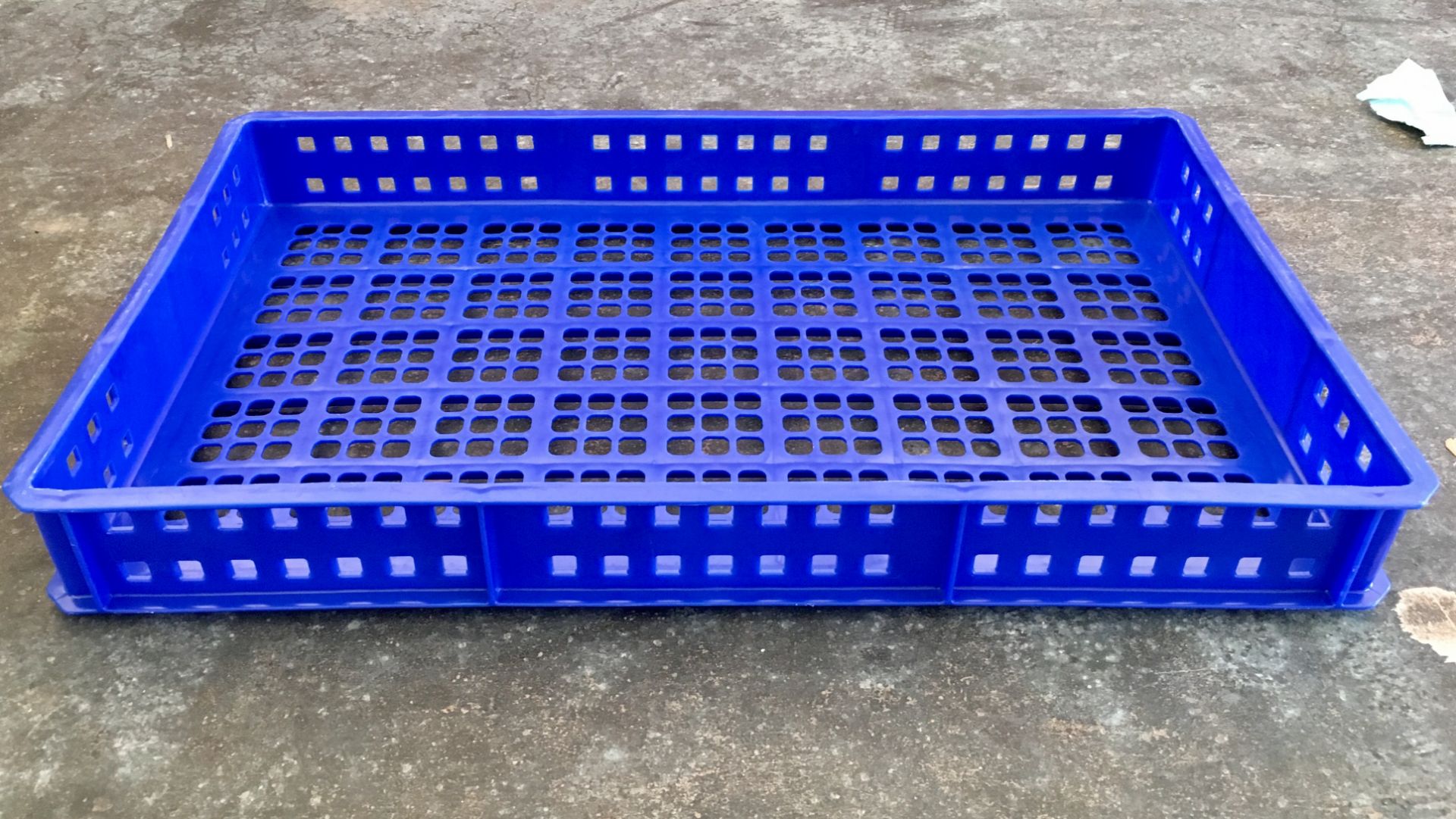 146 x Blue 20L Perforated Confectionery Trays