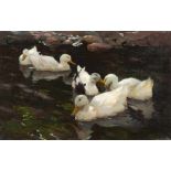 Alexander Koester Fünf Enten im Teich Öl auf Leinwand. (Um 1898/1900). Ca. 51 x 79,5 cm. Signiert