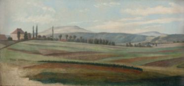 August Lucas - Im Spessart Öl auf Leinwand, auf Malpappe aufgezogen. 20 x 41,2 cm. - Fein