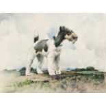 LUDWIG HOHLWEIN - Airedale Terrier Aquarell über Bleistift auf cremefarbenem Velin. Ca. 33,5 x 44