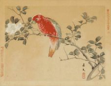 Chinesischer Grafiker des 19. Jahrhunderts Chinese Artist 19th Century - Papagei - Holzschnitt. 17 x