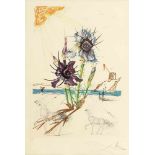 Salvador Dalí 1904 Figueras - 1989 Figueras - "Iris germanica cum ocellis italicis" (aus der