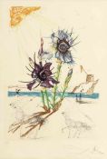 Salvador Dalí 1904 Figueras - 1989 Figueras - "Iris germanica cum ocellis italicis" (aus der