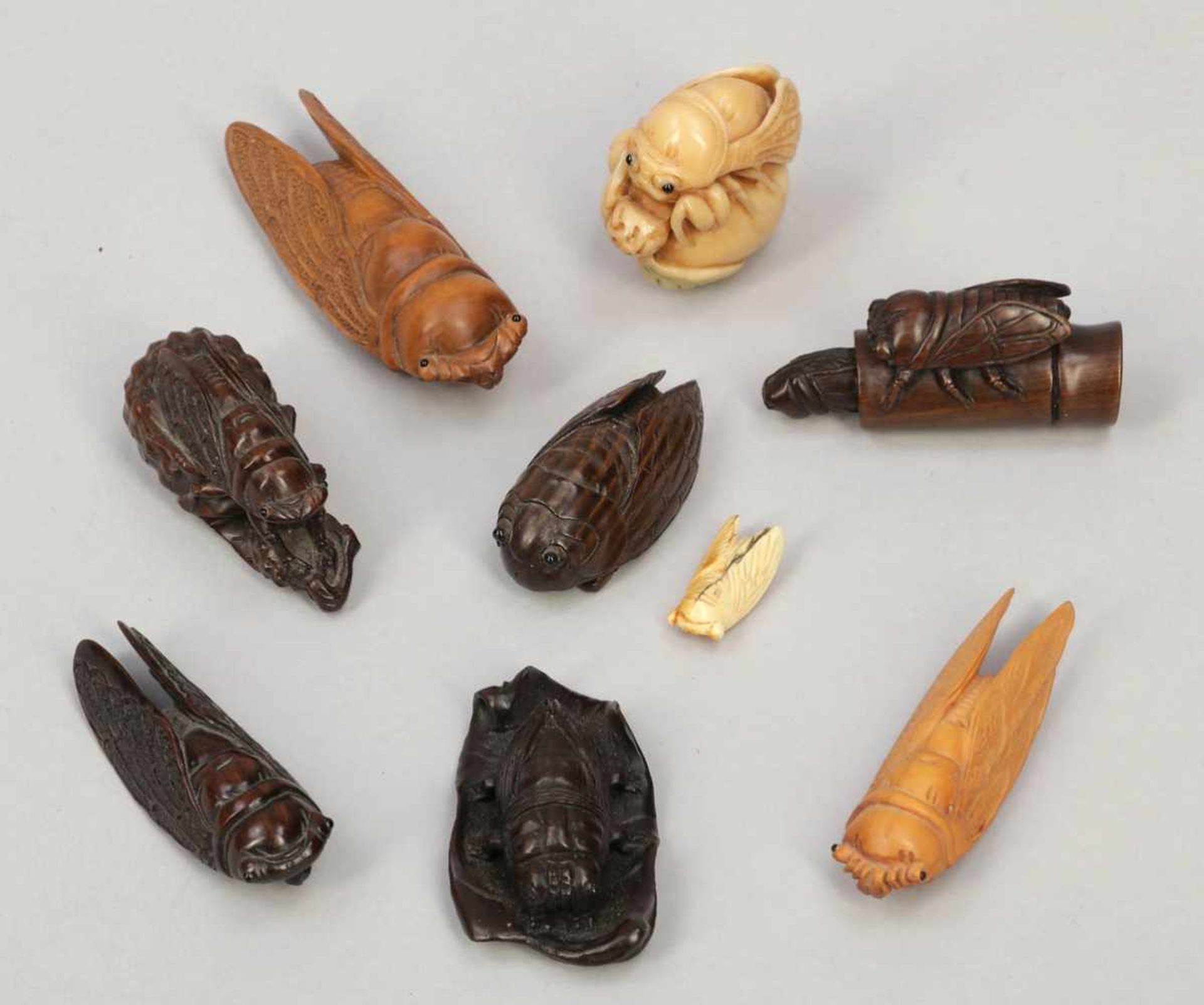 Konvolut Netsukes als Zikaden Japan, um 1900. Holz. Elfenbein. Kunststoff. L. bis 9 cm. Teilw.