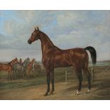 Künstler des 20. Jahrhunderts - Pferde auf dem Paddock - Öl/Karton. 29 x 37 cm. Rest. Rahmen.