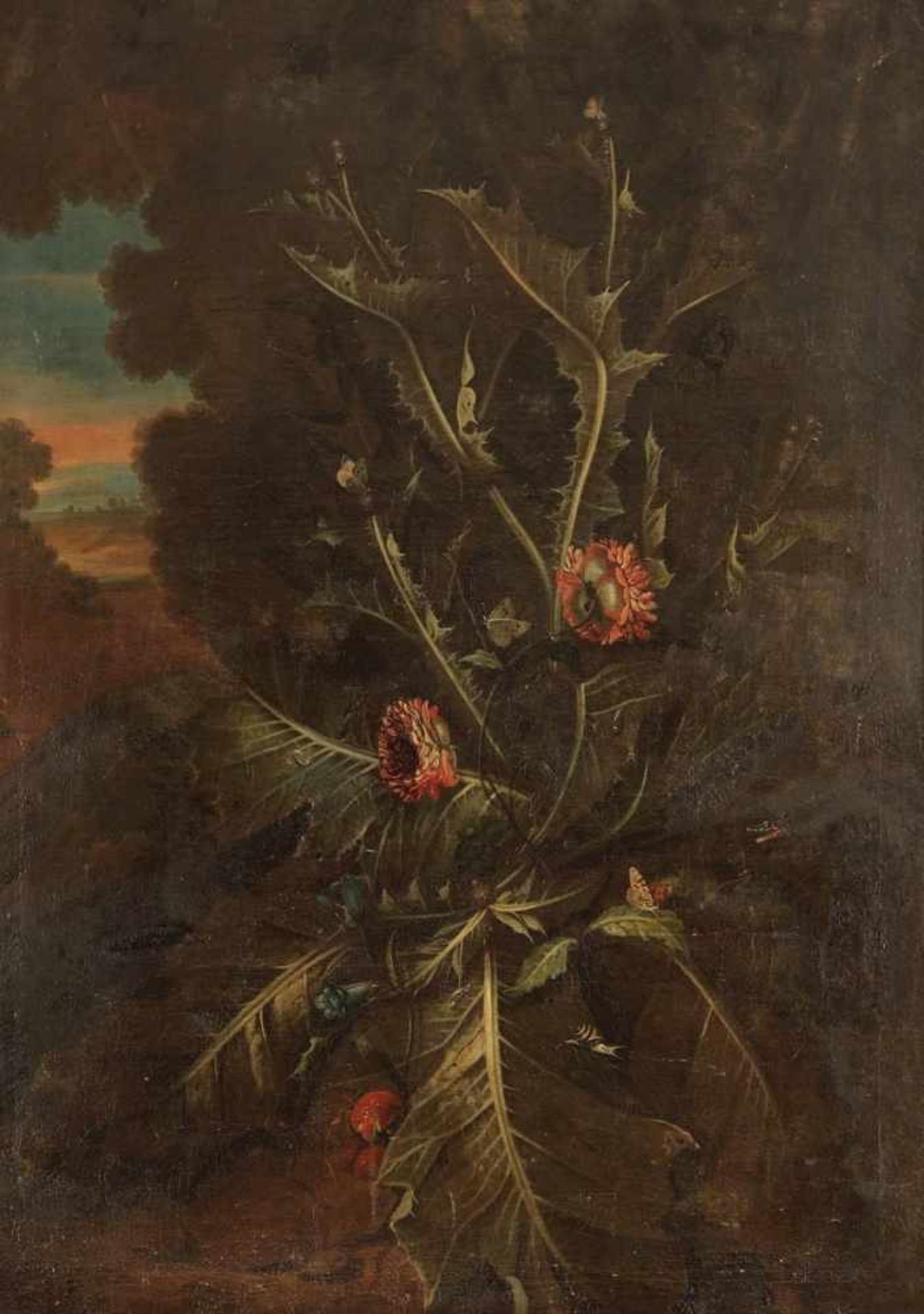 Carl Wilhelm de Hamilton 1668 Brüssel - 1754 Augsburg - Waldbodenstillleben mit Distel - Öl/Lwd. 132