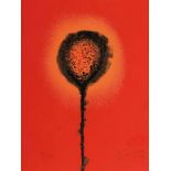 Otto Piene 1928 Bad Laasphe - 2014 Berlin - "Feuerflora" - Farbserigrafie/Karton. 89/100. 40 x 29,