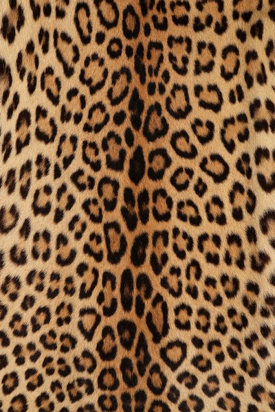 A Seymour Kearney leopard skin coat, circa 1960, panthera pardus, labelled, - Bild 7 aus 8