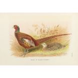 Beebe, William A monograph of the pheasants. 4 Bände. London, Witherby für New York Zoological