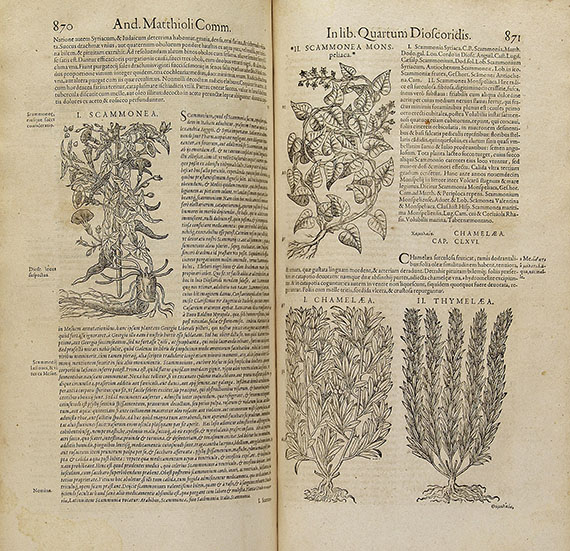 Mattioli, Pietro Andrea Opera quae extant omnia: hoc est commentarii in VI libros Pedacii