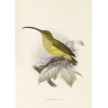 Shelley, George Ernest (A monograph of the nectariniidae, or family of sun-birds). Tafelband. (