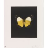 Damien Hirst 1965 Bristol - lebt und arbeitet in Devon Butterfly Etching Portfolio (Tribulation,