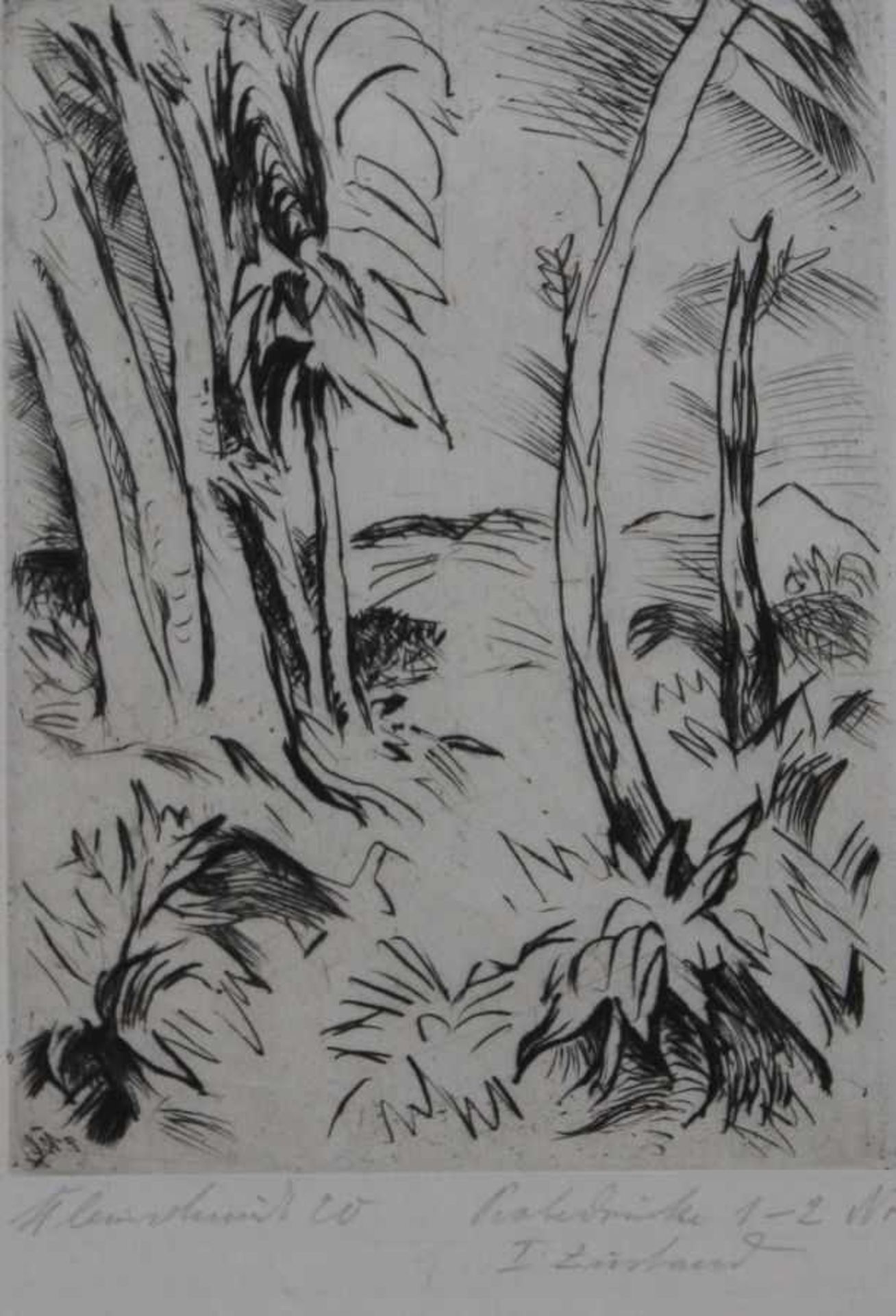 Radierung - Paul Kleinschmidt (1883 Bublitz - 1949 Bensheim) "Waldlichtung", l.u. signiert und