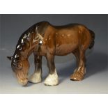 Beswick grazing shire