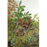 Karen Baddock (New Zealand, b.1964) 'NZ Brown Kiwi', limited edition print