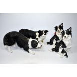 Four models of Border Collies