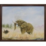 BOSTON M’BALE OIL ON CANVAS – ELEPHANT IN MILAWI 19”X15.5”