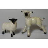 BESWICK BLACK FACED LAMB & WHITE LAMB