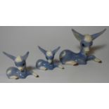 3 SZIELER BLUE/WHITE FAWNS