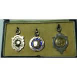 CASE WITH 3 SILVER MEDALLIONS