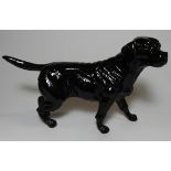 BESWICK BLACK LABRADOR